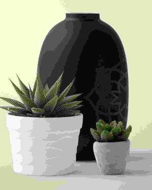 Black Vase Decor